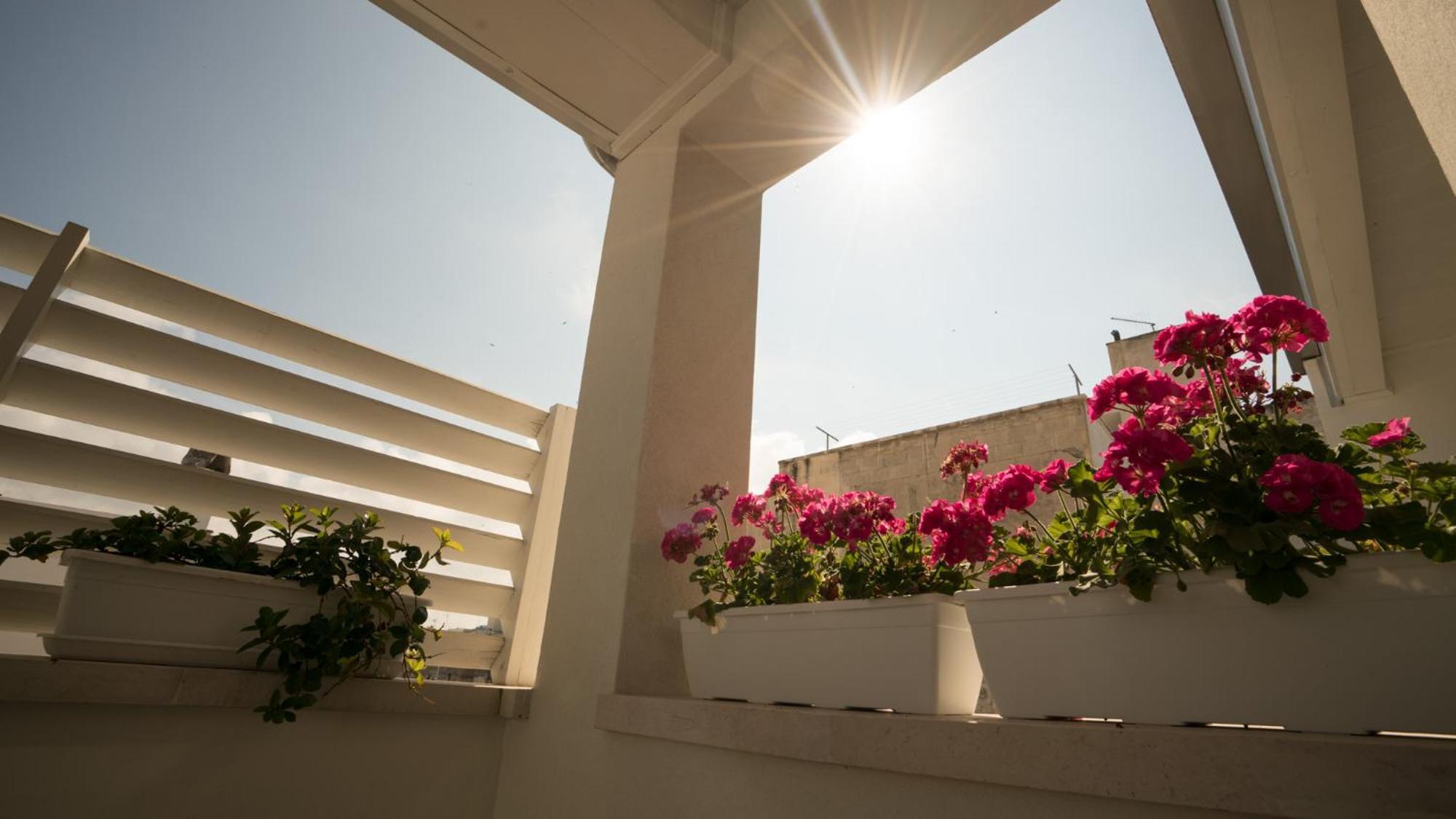 Il Vicoletto Bed and Breakfast Polignano a Mare Eksteriør billede