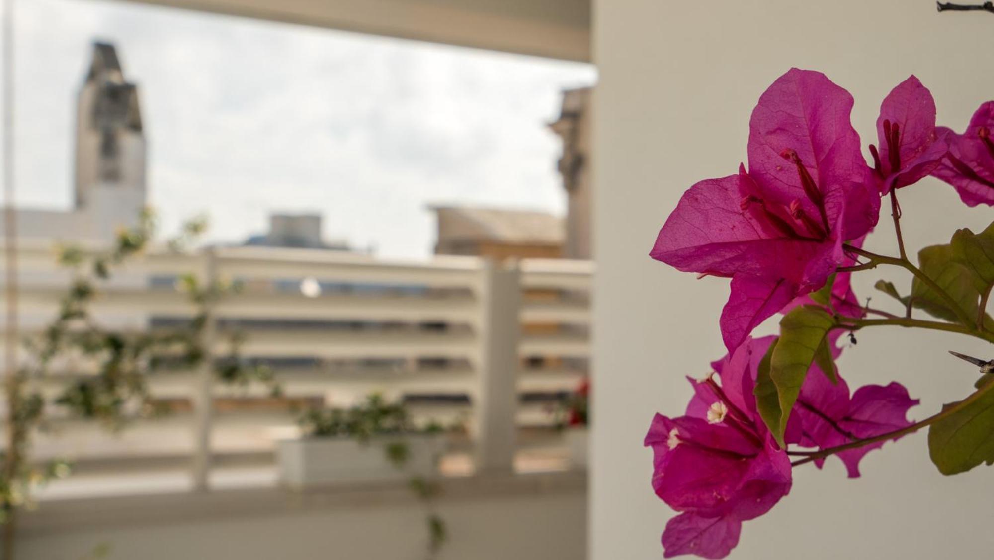 Il Vicoletto Bed and Breakfast Polignano a Mare Eksteriør billede